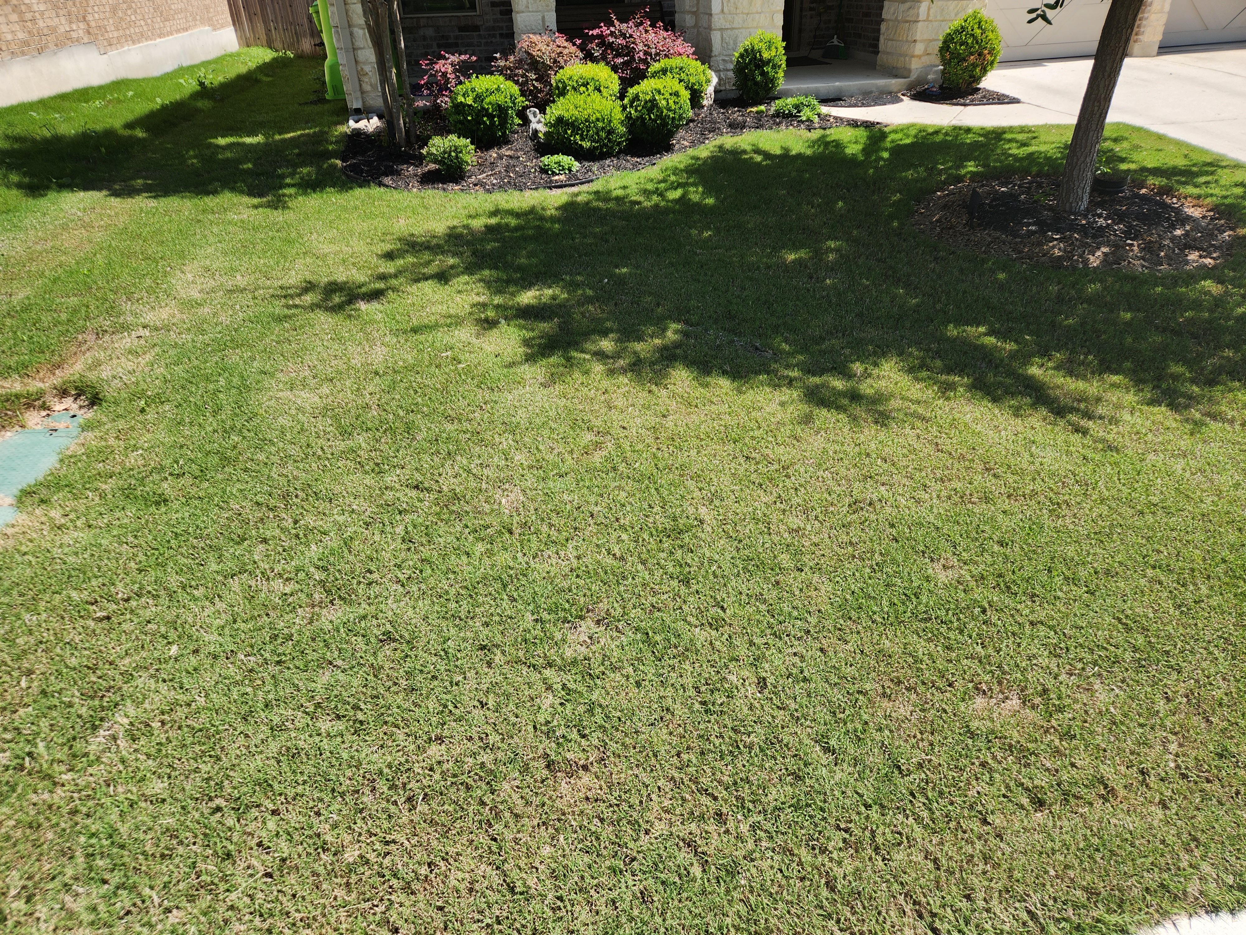 Tenant Responsiblies - Maintaining the Lawn and Treating for Weeds
